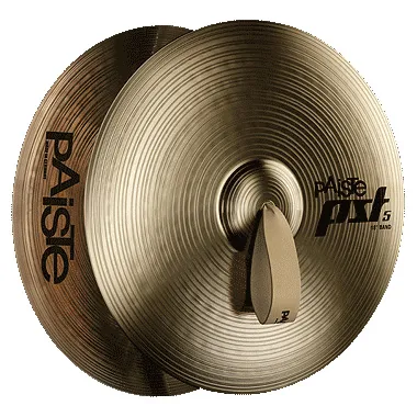 PAISTE PST5 14"