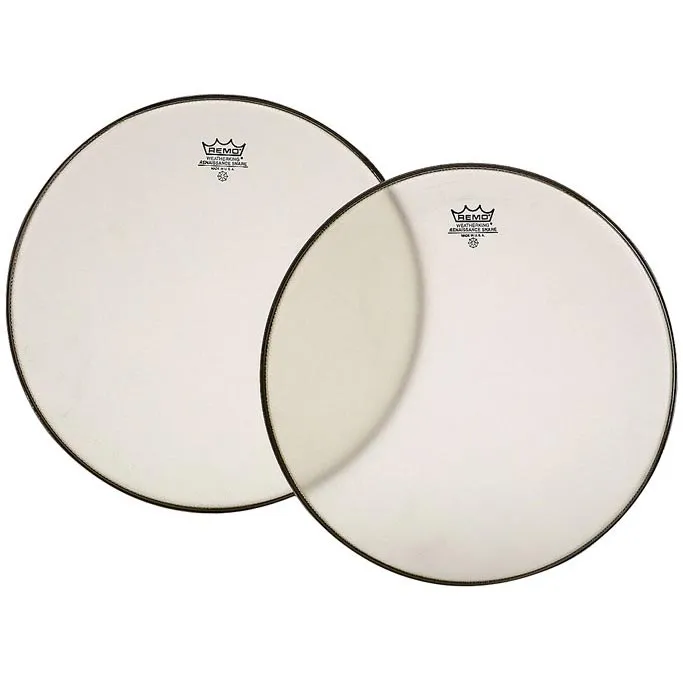 REMO Renaissance 10" Hazy Ambassador
