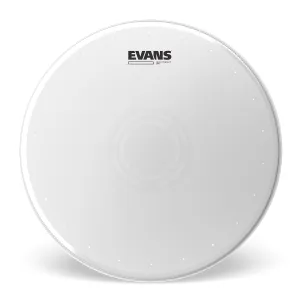 EVANS Heavyweight Dry 14"