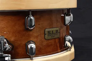 Cercle Tama 14" -Timbre - 8 Tirants - Wood Hoop