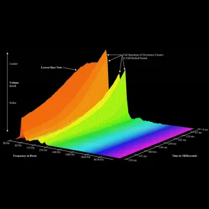 REMO Powerstroke Pro 18" Bass Coated