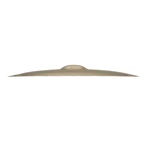 ZILDJIAN Z Custom 20" Ride