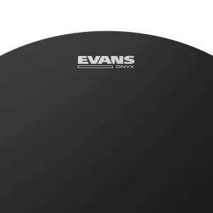 EVANS Onyx 12"