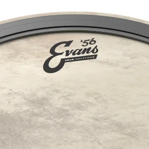 EVANS Calftone 18" Bass EMAD