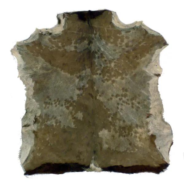 Produit Peau Djembe Yoman Chevre Rasee Image